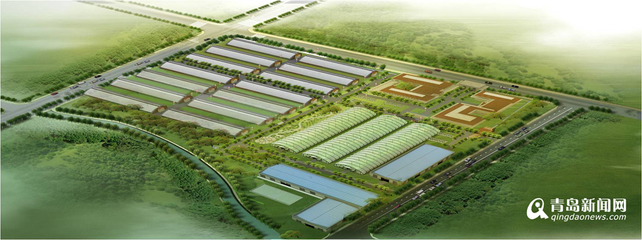 13個(gè)現(xiàn)代農(nóng)業(yè)項(xiàng)目落戶(hù)西海岸，總投資52億元