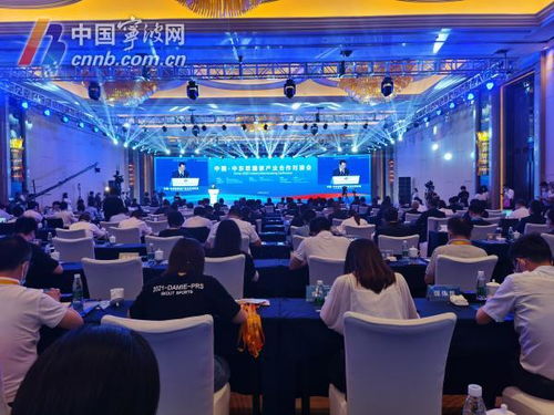 中東歐國(guó)際產(chǎn)業(yè)合作園喜迎總投資78.3億元，17個(gè)項(xiàng)目落戶(hù)共筑實(shí)業(yè)投資新高地